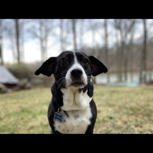 Meet your Posher, Karlee